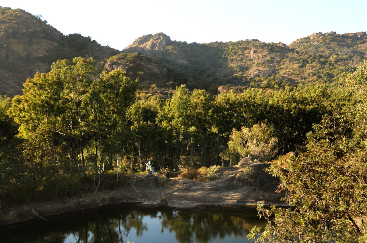 Palace Hotel - Bikaner House Mount Abu Esterno foto